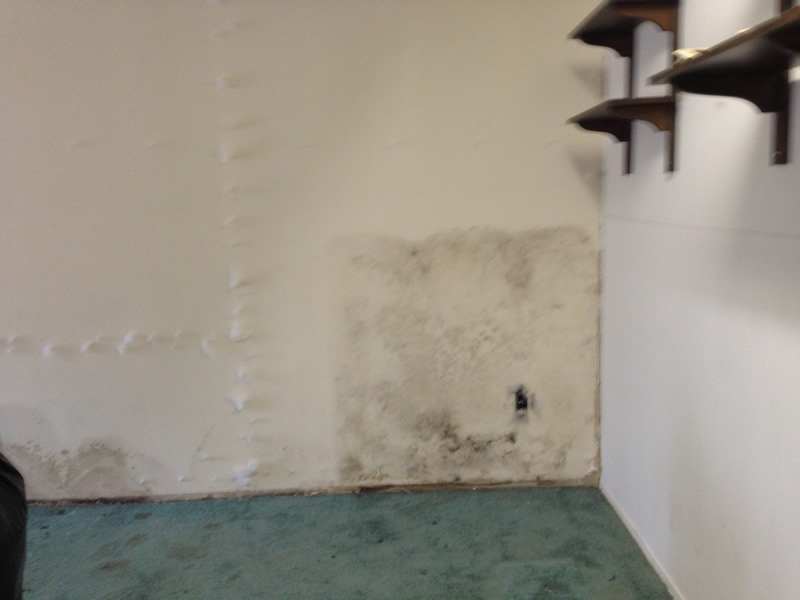 911 mold abatement cleanup 3