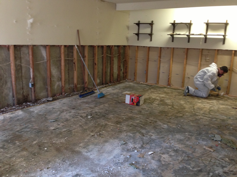 911 mold abatement cleanup 4