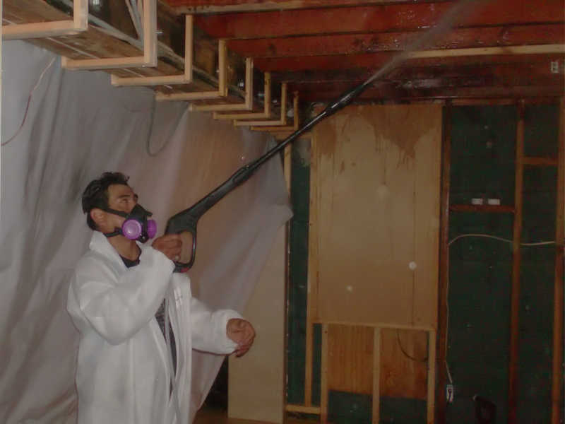 911 mold abatement cleanup 8